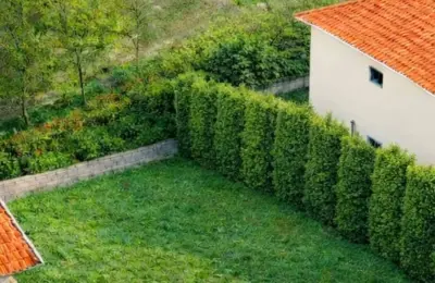 Terreno Urbano para Construção – Fonte de Arcada | Penafiel